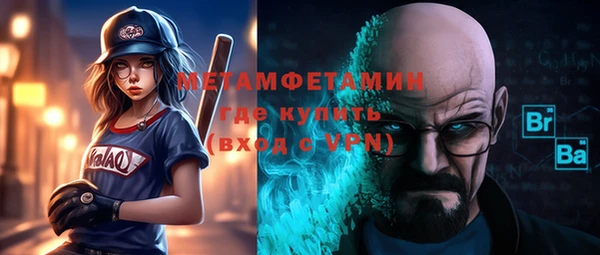 ГАЛЛЮЦИНОГЕННЫЕ ГРИБЫ Богданович