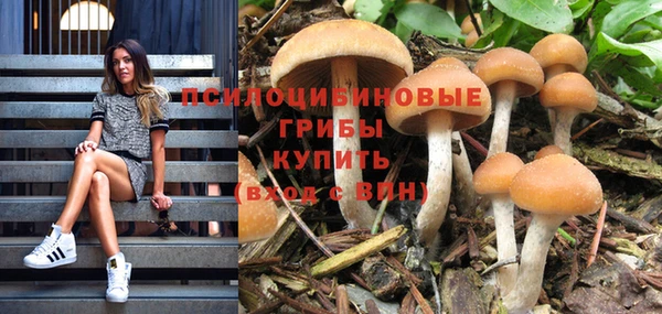 ГАЛЛЮЦИНОГЕННЫЕ ГРИБЫ Богданович