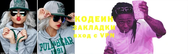 ГАЛЛЮЦИНОГЕННЫЕ ГРИБЫ Богданович