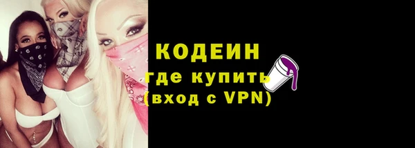 ГАЛЛЮЦИНОГЕННЫЕ ГРИБЫ Богданович