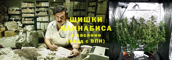ГАЛЛЮЦИНОГЕННЫЕ ГРИБЫ Богданович