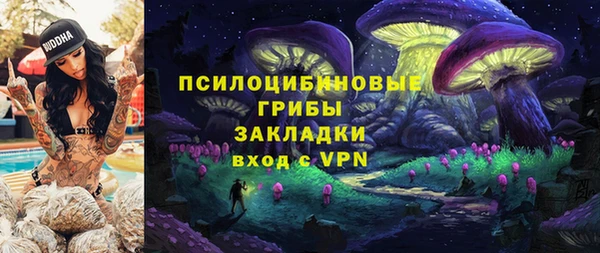ПСИЛОЦИБИНОВЫЕ ГРИБЫ Богородицк