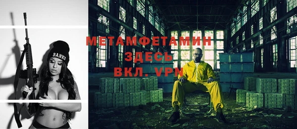 ГАЛЛЮЦИНОГЕННЫЕ ГРИБЫ Богданович