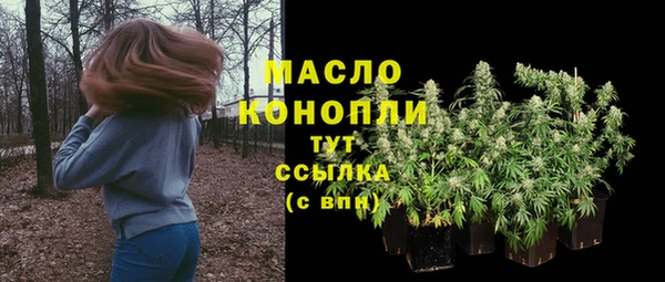 ГАЛЛЮЦИНОГЕННЫЕ ГРИБЫ Богданович