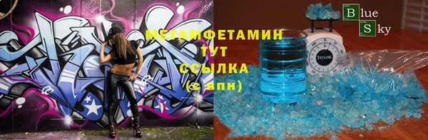 ГАЛЛЮЦИНОГЕННЫЕ ГРИБЫ Богданович