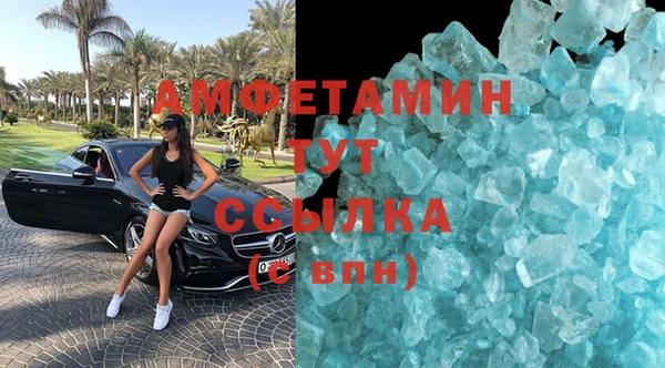 ГАЛЛЮЦИНОГЕННЫЕ ГРИБЫ Богданович