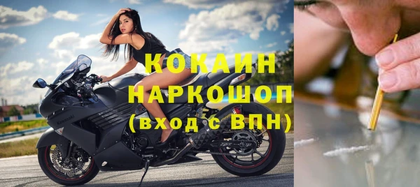 ГАЛЛЮЦИНОГЕННЫЕ ГРИБЫ Богданович