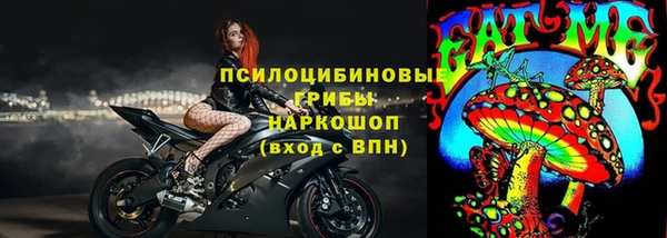 ПСИЛОЦИБИНОВЫЕ ГРИБЫ Богородицк